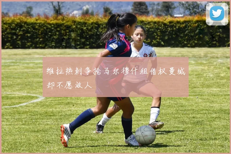 维拉热刺争抢马尔穆什租借权曼城却不愿放人